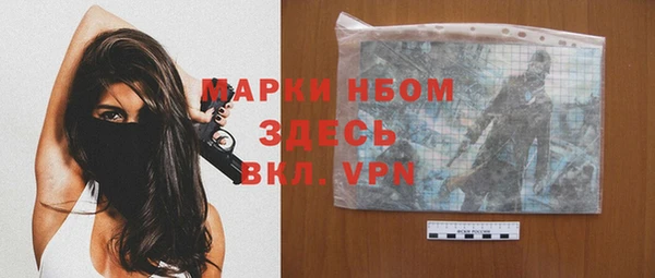 хмурый Алексин