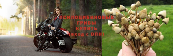 хмурый Алексин