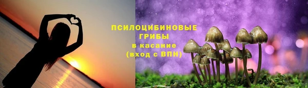 a pvp Армянск