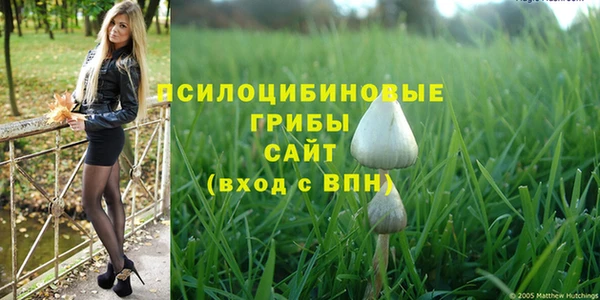 Альфа ПВП Аркадак