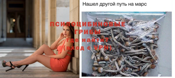 Альфа ПВП Аркадак
