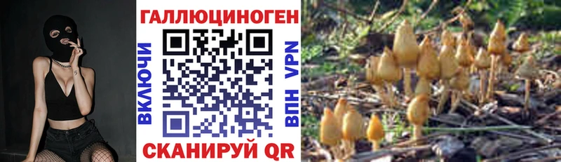 купить наркотики цена  Полысаево  Галлюциногенные грибы GOLDEN TEACHER 